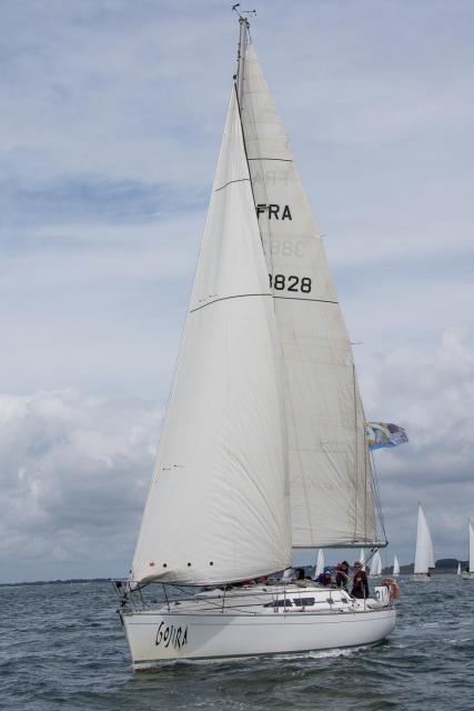  dsc6317