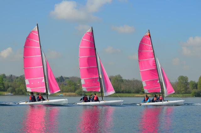 Dsc 0246 redimensionner