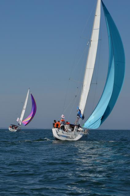 Dsc 0284 redimensionner