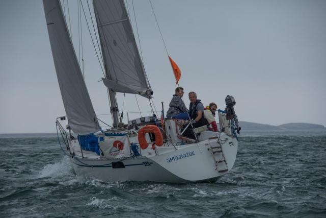 Dsc 8617