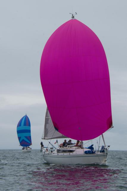 Dsc 8980