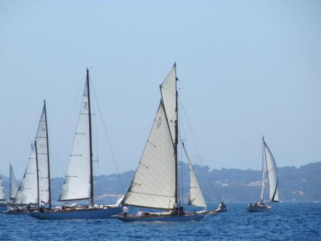 Img 0859