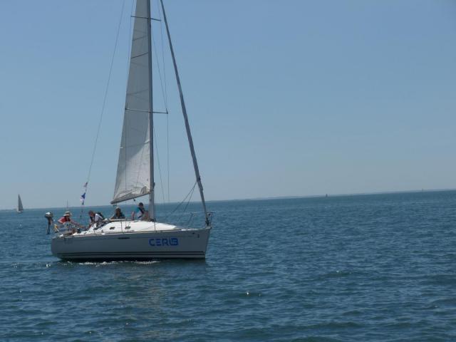 Sam 0351