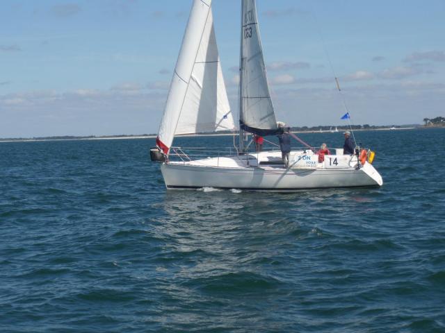 Sam 0683